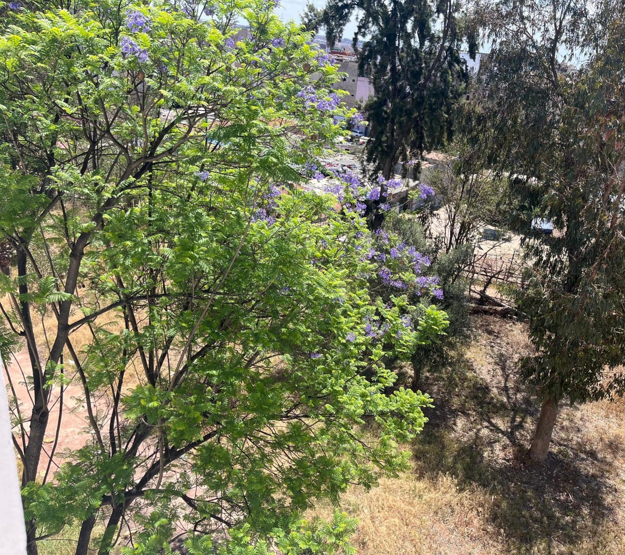 Casablanca Beautiful And Tranquil Family Apartment Δωμάτιο φωτογραφία